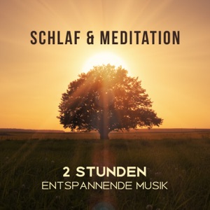 Schlaf & Meditation: 2 Stunden entspannende Musik und Naturgeräusche
