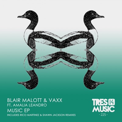 The MUSIC - Single
