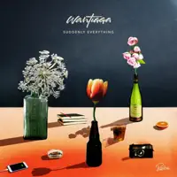 Slowly (feat. Merryn Jeann) — Wantigga
