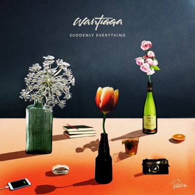 Suddenly Everything - EP