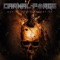 Bound in Flames - Carnal Forge lyrics