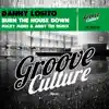 Burn the House Down (Micky More &amp; Andy Tee Mix)