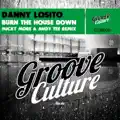 Burn the House Down (Micky More & Andy Tee Mix)