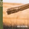 Lost Stories - Aias Conor lyrics