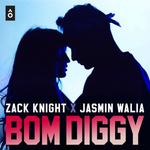 Zack Knight & Jasmin Walia - Bom Diggy - Line Dance Musik