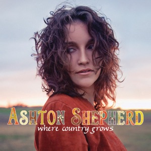 Ashton Shepherd - Look It Up - Line Dance Chorégraphe