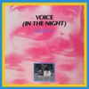 Voice (In the Night) - Single