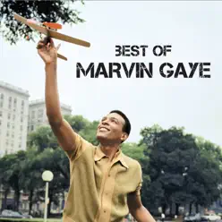 Best Of - Marvin Gaye
