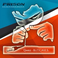 B.I.T.C.H.E.S - Single - Qwez