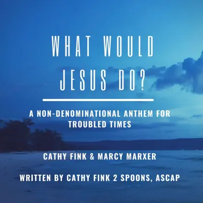 What Would Jesus Do? - Single - Cathy Fink