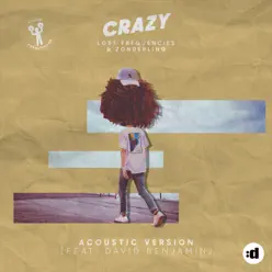 Crazy (Acoustic Version) [feat. David Benjamin] - Single - Lost Frequencies