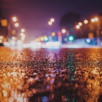 Nov 12 - Single - SoMo