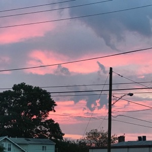 Pink Sunset.