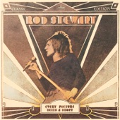 Mandolin Wind by Rod Stewart