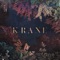 Afternoon Jam (feat. Alexander Lewis) - KRANE lyrics