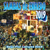 Sambas de Enredo das Escolas de Samba 2019 - Various Artists