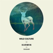 Sugar (Wild Culture vs. Karmin) [Lost Kings Remix] artwork