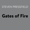 Gates of Fire (Abridged) - Steven Pressfield