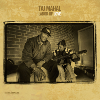 Taj Mahal - Labor of Love artwork