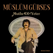 Mutlu Ol Yeter song art