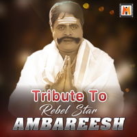 Various Artists - Tribute to Rebel Star Ambareesh artwork