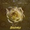 Serenity (feat. Rapta) [BHO Remix] - Sully Papo lyrics