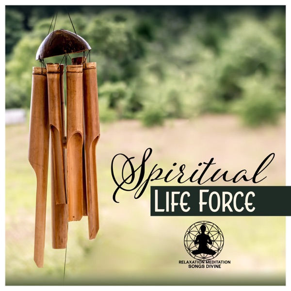 Spiritual Life Force – Emotional Mantra, Mindful Journey, Soul Touch, Meditation Retreat, Restore Your Faith, Thought Cleansing