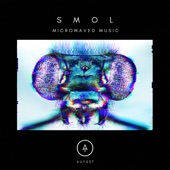 Smol - Microwaved Music