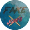 Fake - Single