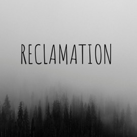 Reclamation Des Brennan