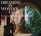Dreaming in Wonderland (Remastered) artwork