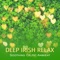 Positive Vibrations - Celtic Chillout Relaxation Academy & Relaxation Zone lyrics