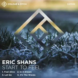 In a Dream by Eric Shans song reviws