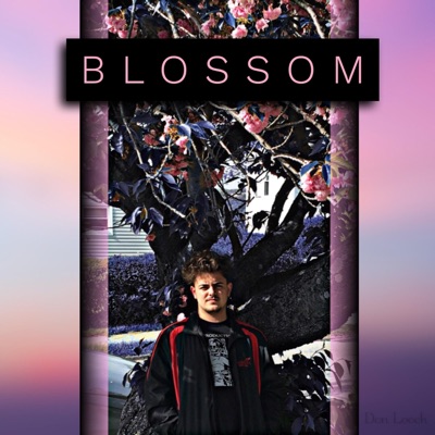 Blossom (feat. Houston) - Single