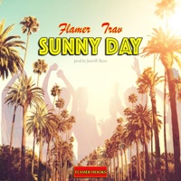 Sunny Day (feat. Trav) - Single - Flamer