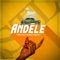 Andele - Mr. Nobody Stl lyrics