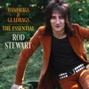 Rod Stewart - You Put Something Better Inside Me