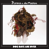 Florence + The Machine - Dog Days Are Over