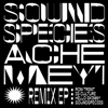 Alina's Calypso (Ron Trent Remix) - Soundspecies & Ache Meyi