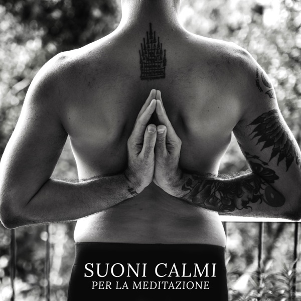 Suoni Calmi per la Meditazione: Suoni della Natura per il Relax, Allenamento Yoga, Pioggia Rilassante