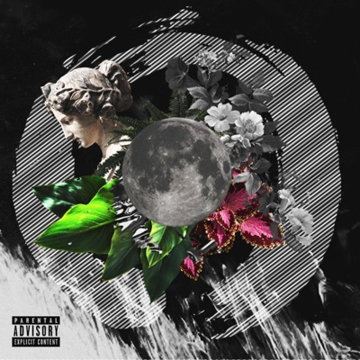 Dancing on the Moon - Single