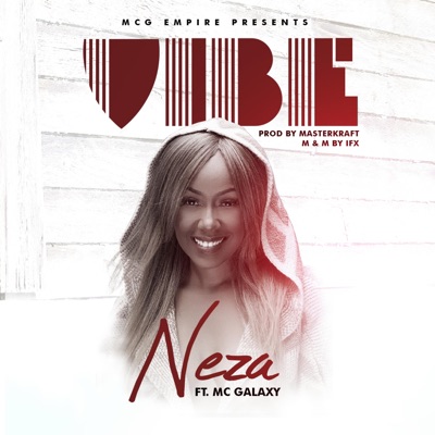 Vibe (feat. Mc Galaxy) - Single