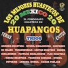 Los Mejores Huastecos De México, Vol. 6