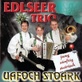 Edlseer Trio - Flott Aufgespielt