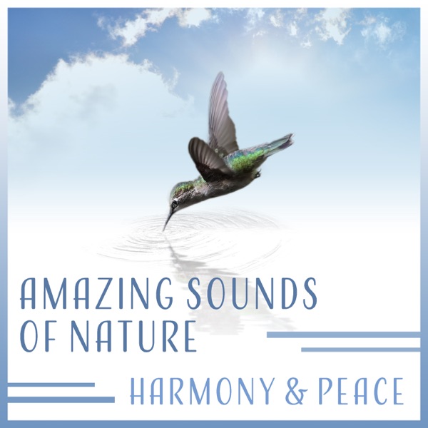 Amazing Sounds of Nature: Harmony & Peace - Gentle Noise, Deep Forest, Water, Music for Total Relaxation, Sleep, Meditation