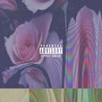 Pink Roses (feat. BumRush & Jake Cap) - Single - Globalcez