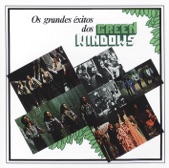 Green Windows - 20 Anos