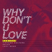 Why Don't U Love (Cat Dealers Remix) artwork