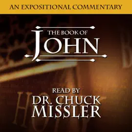 The Book of John: A Commentary (Unabridged)