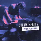 Stitches (MTV Unplugged) artwork